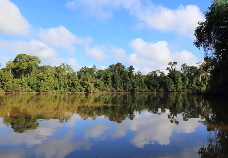 Early Morning Wildlife Boat Trip to Ox Bow Lake