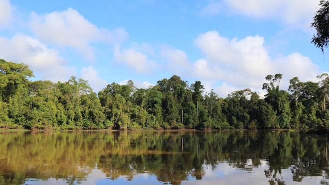 Enjoy an Early Morning Wildlife Boat Trip to Oxbow Lake