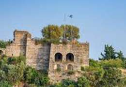 IgluCruise.Application.ViewModels.Shared.WebImageViewModel?.Description