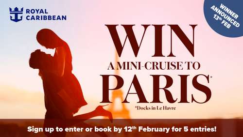 Valentines Flash  promotional banner