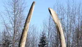 Image related to Alaska Native Heritage Center