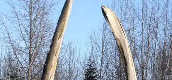 Image related to Alaska Native Heritage Center