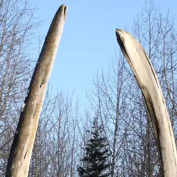 Image related to Alaska Native Heritage Center