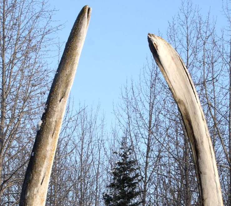 Alaska Native Heritage Center