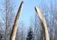 Alaska Native Heritage Center