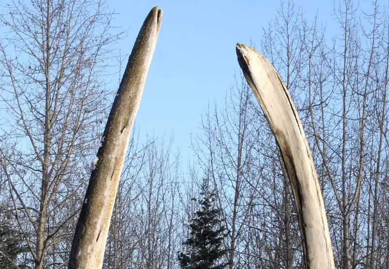 Alaska Native Heritage Center Anchorage Alaska