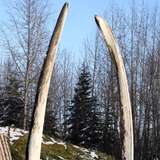 Alaska Native Heritage Center Anchorage Alaska