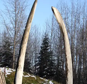 Image related to Alaska Native Heritage Center