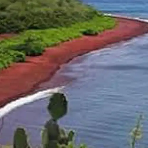 Image related to Hike to the Clifftop Viewpoint