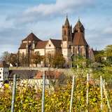 Image related to Breisacher Stephansmünster