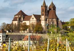 IgluCruise.Application.ViewModels.Shared.WebImageViewModel?.Description