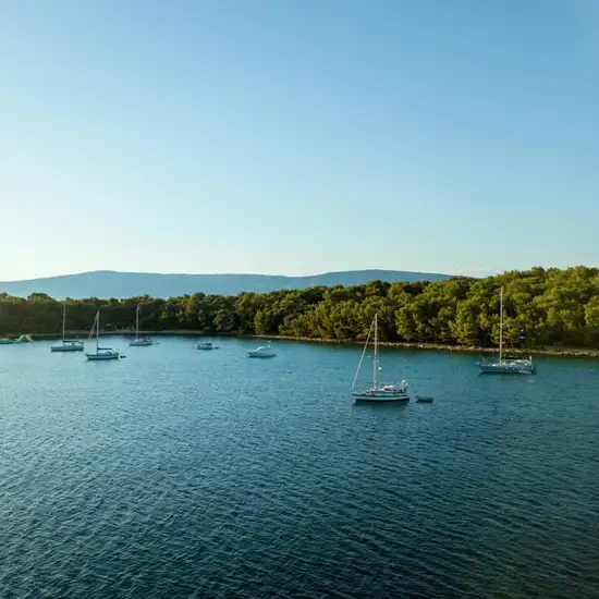 Image related to Lim Fjord