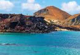 IgluCruise.Application.ViewModels.Shared.WebImageViewModel?.Description