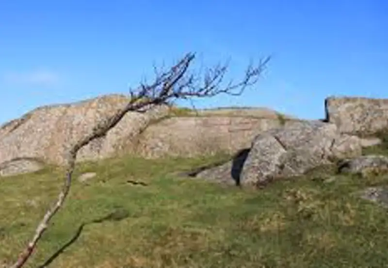 Explore Nordberg Fort