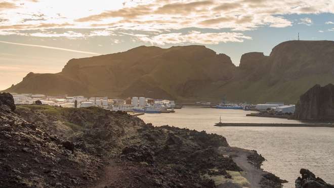Visit a dramatic volcanic island shaped by a famous 1973 eruption and home to vast puffin colonies.