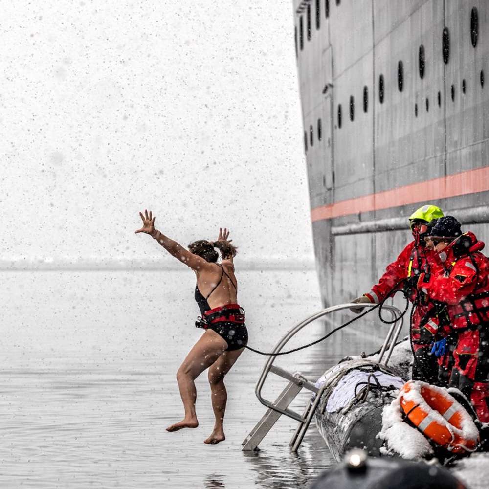 Polar Plunge