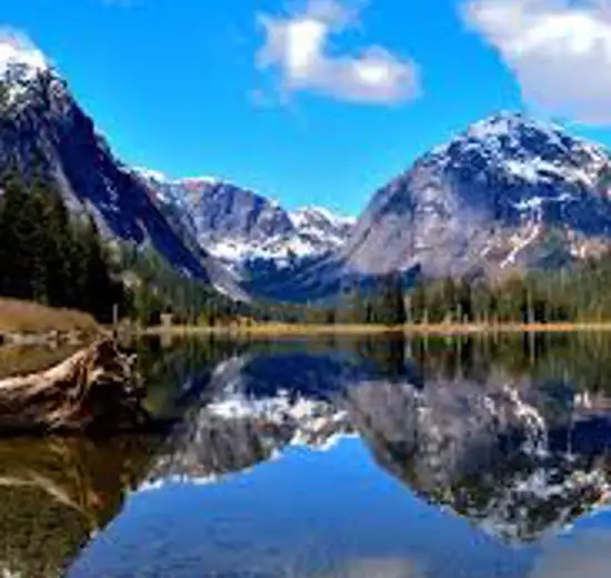 Image related to Misty Fjords (Scenic Cruising)