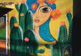 IgluCruise.Application.ViewModels.Shared.WebImageViewModel?.Description