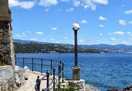 IgluCruise.Application.ViewModels.Shared.WebImageViewModel?.Description