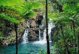 IgluCruise.Application.ViewModels.Shared.WebImageViewModel?.Description