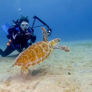 Image related to Scuba Diving