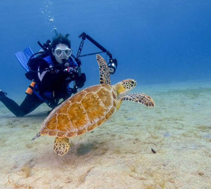 Scuba Diving