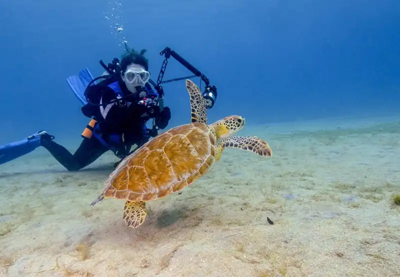 Scuba Diving