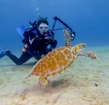 Image related to Scuba Diving