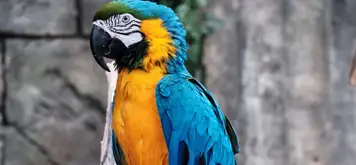 Image related to NATUWA Wildlife Sanctuary