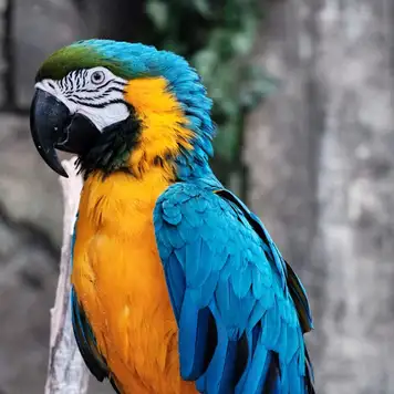 Image related to NATUWA Wildlife Sanctuary