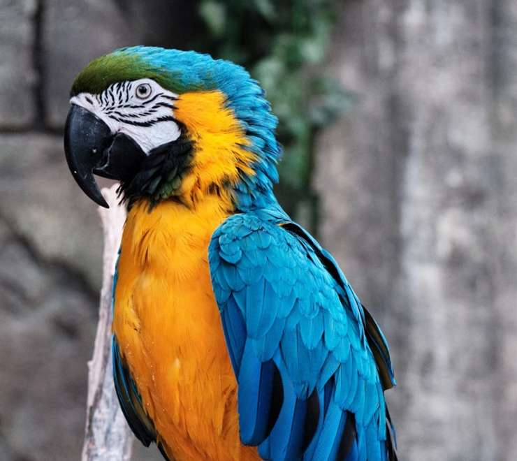 NATUWA Wildlife Sanctuary