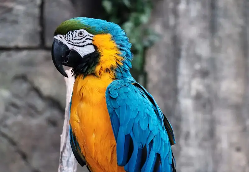 NATUWA Wildlife Sanctuary