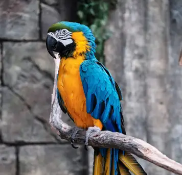Image related to NATUWA Wildlife Sanctuary