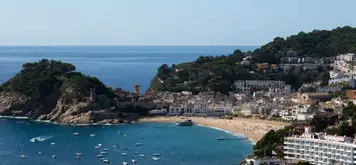 Image related to Roses