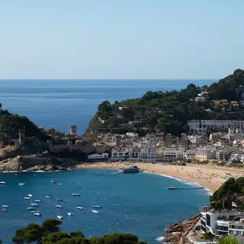 Image related to Roses