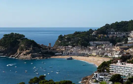 Image related to Roses