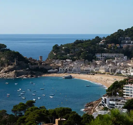 Image related to Roses