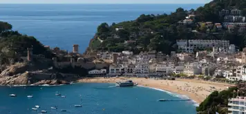 Image related to Roses