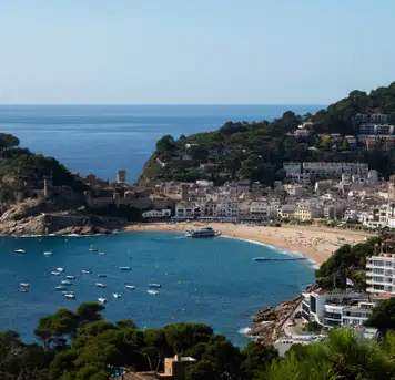 Image related to Roses