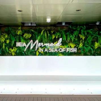 Image related to Resilient Lady