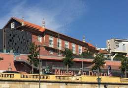 IgluCruise.Application.ViewModels.Shared.WebImageViewModel?.Description