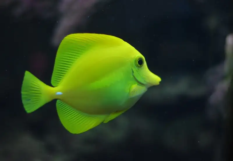 Biarritz Aquarium