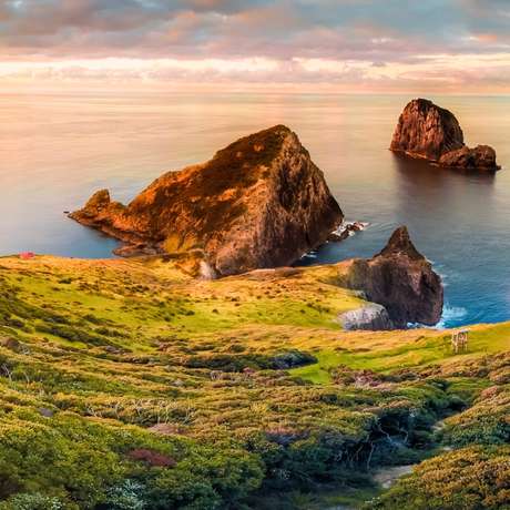 Photo overview of Bay of Islands