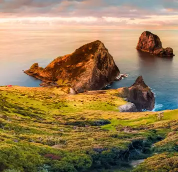 Image related to Bay of Islands (New Zealand)