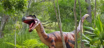 Image related to Image related to Museum 