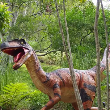 Image related to Image related to Museum 