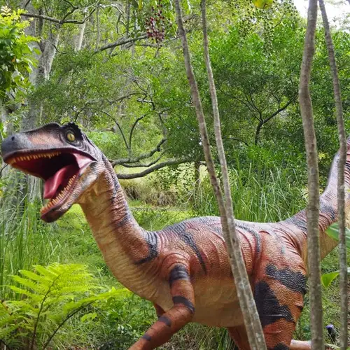 Image related to Image related to Museum 