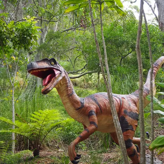 Image related to Museum 