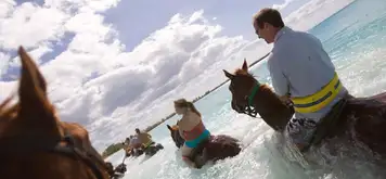 Image related to Horseback Riding by Land & Sea