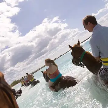 Image related to Image related to Horseback Riding by Land & Sea